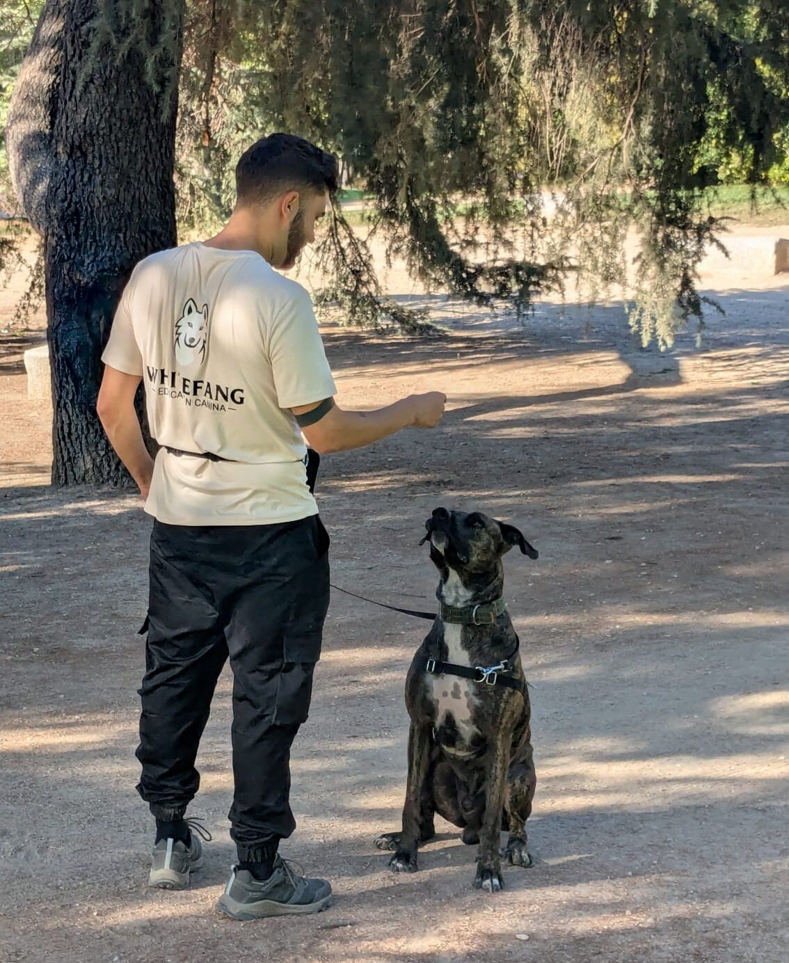 cursos de educacion canina