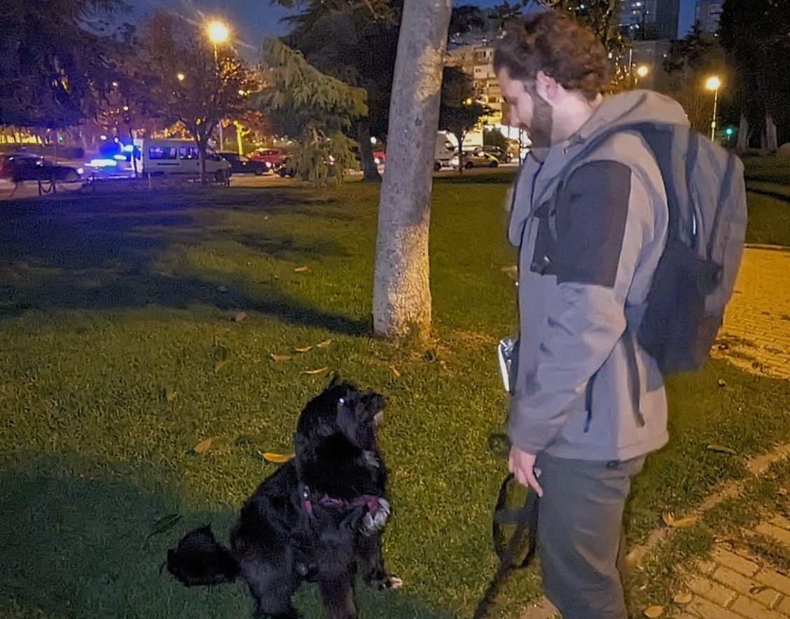 adiestador y perro en el parque