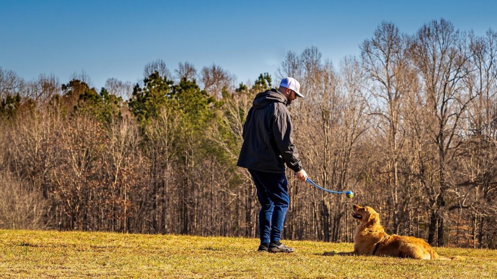 Adiestrador Canino